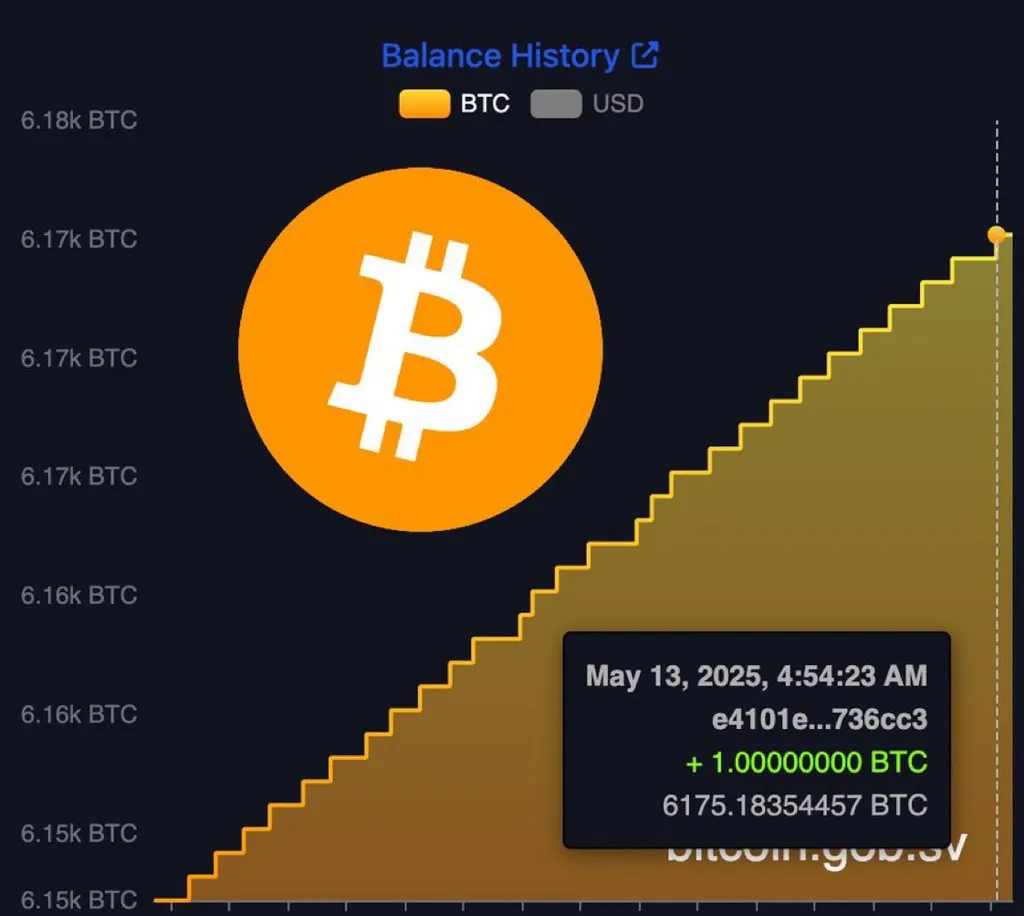 El Salvador Purchases More Bitcoin... Increasing Reserves Despite IMF Warnings